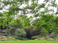 -西湖外事游船(花港观鱼码头)