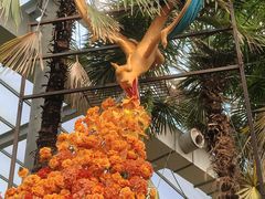 -沈阳植物园