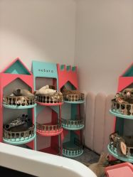 -奈尔宝·儿童乐园·亲子餐厅(前滩店)