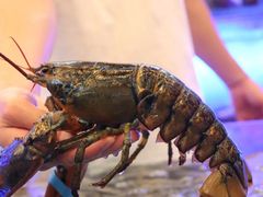 -东方之珠海鲜酒楼(南开店)
