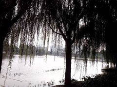 -白塘生态植物园