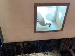 -茅庐毛血旺(烟台大悦城店)