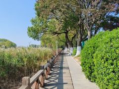 -苏州太湖湖滨国家湿地公园