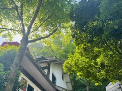 -龙井壹号·茶缘山景宴(龙井村店)