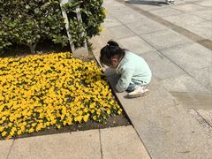 -郑州植物园