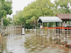 -上海滨江森林公园