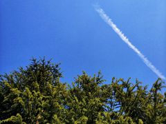 -南通博物苑-崇川人民公园