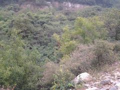 -龙洞风景区-藏龙涧
