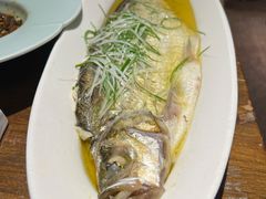 清蒸太湖白鱼-金枝玉叶上海人家食府(三里河店)