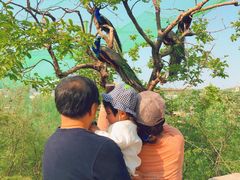 -五龙山野生动物王国