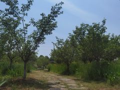 -嬉乐湾休闲旅游区