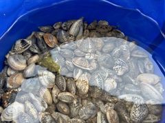 -东疆理想海岸沙滩景区