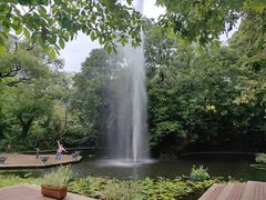 -九龙公园