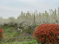 -苏州吴中太湖旅游区