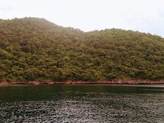-维乐口腔医院(星海湾分院)