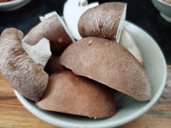 -肥龙火锅(南坪店)