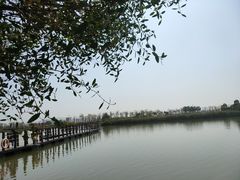 -芒洲湿地公园