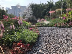 -莲花山公园