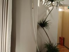 -青曼SPA·按摩·采耳·足道(龙之梦店)