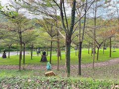-田野绿世界