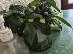 -吴淞老街砂锅馄饨(北兴路店)