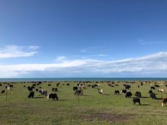 -青海湖国家重点风景名胜区