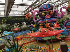 -南宫五洲植物乐园