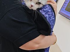 -北京观赏动物医院·24小时大型综合·猫专科·异宠专科