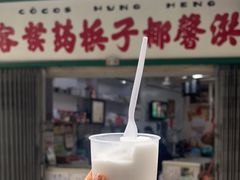 -洪馨椰子