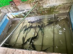 -姥家大锅台水库渔家
