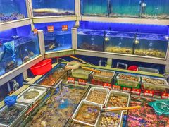 -东江海鲜大排档·潮汕菜·砂锅粥