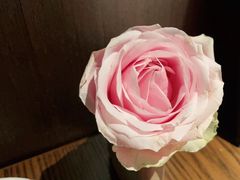 -掌柜的店·河南的菜(世茂店)