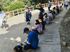 -杨梅坑