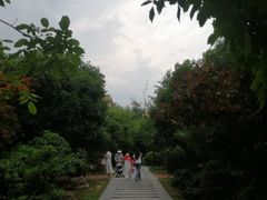 -唐城墙遗址公园