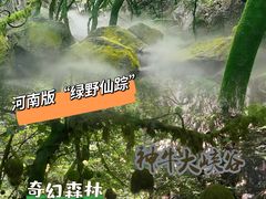 -神牛大峡谷