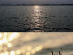 -丁香湖公园