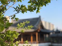 -南普公园