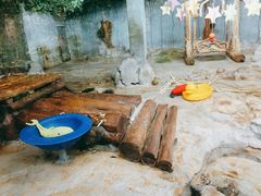 -海南热带野生动植物园