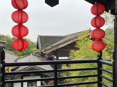 -大唐贡茶院