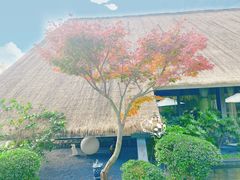 -老房子金沙元年川菜食府·花园餐厅(金沙店)