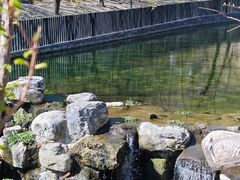 -白水寺森林公园