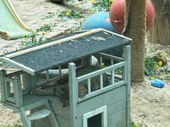 -青藏高原野生动物园
