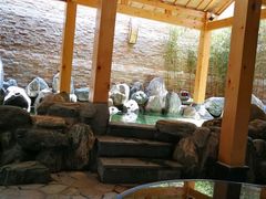 -汤里来温泉