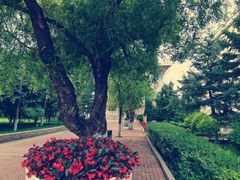 -黑龙江大学
