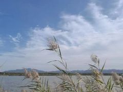 -野鸭湖国家湿地公园