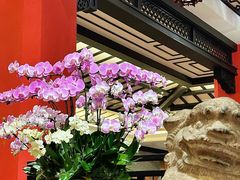 -龙悦湾酒家·八阵鱼生·渔人码头店