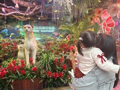 -正佳雨林生态植物园