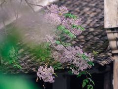 -仓桥直街