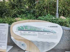 -成都市活水公园