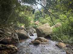 -东莞市大岭山森林公园